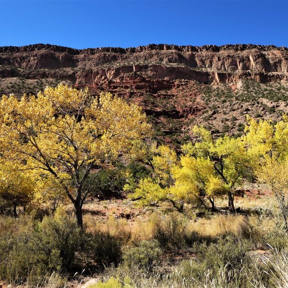 Meet your Posher, Lori - Picture 5 of 9